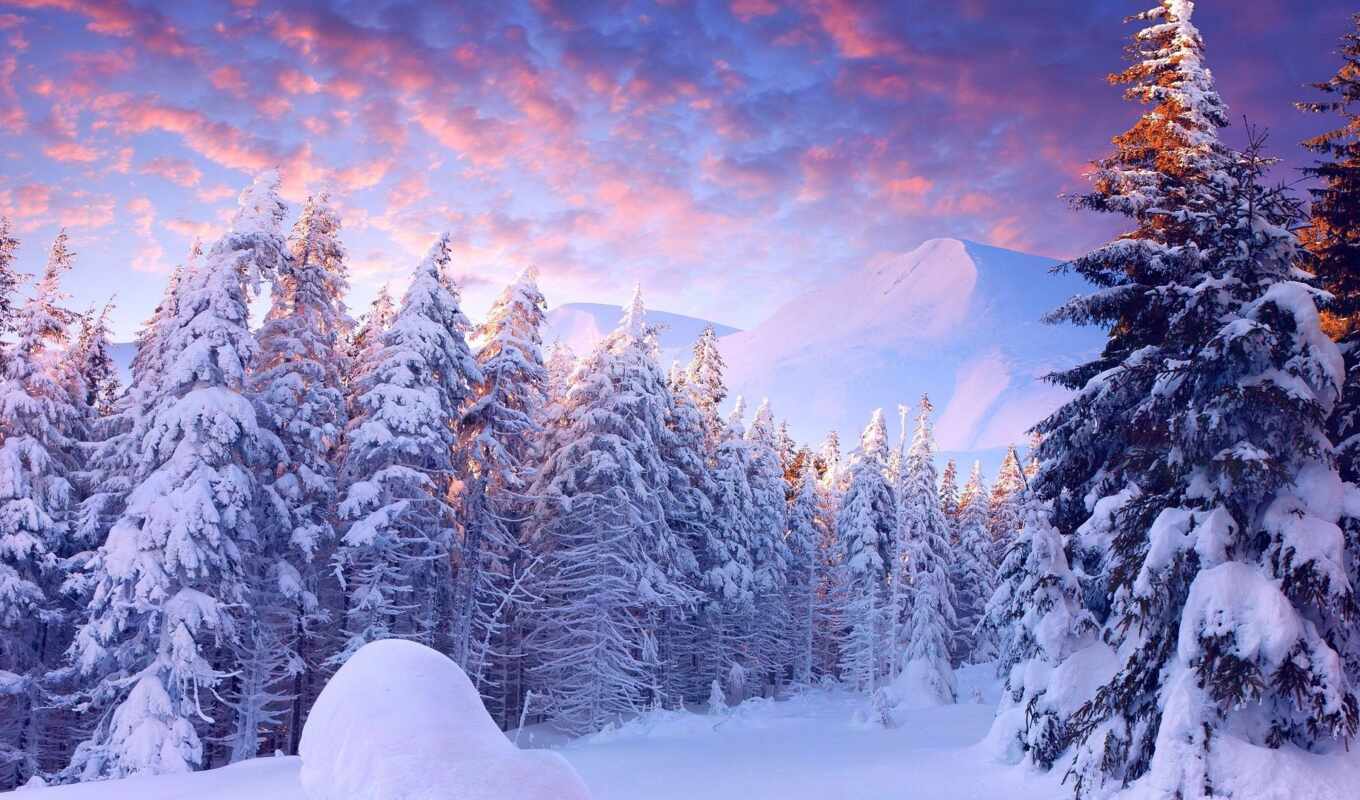 фон, дерево, снег, winter, гора, landscape, gallery, восход, страна чудес, rare, fore