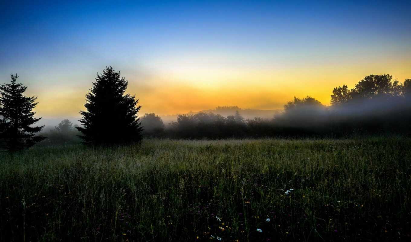nature, desktop, field, morning, fog, early, comfy