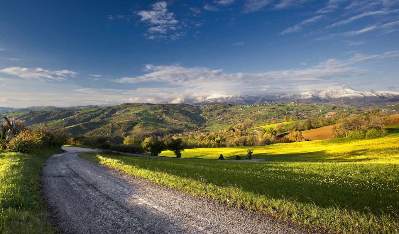 nature, summer, road, field, landscape, photo wallpapers