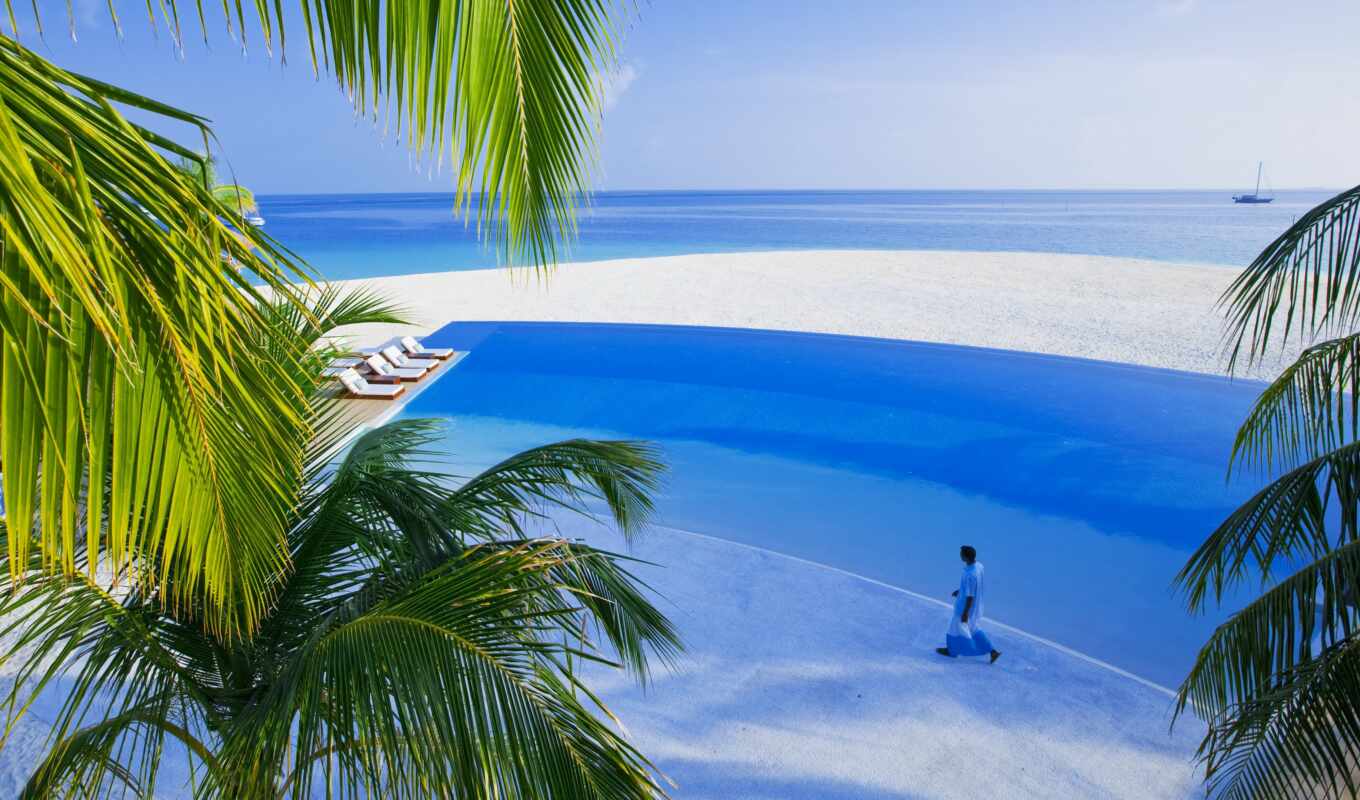 summer, white, sea, sand, palm trees, swimming pool, island, maldives