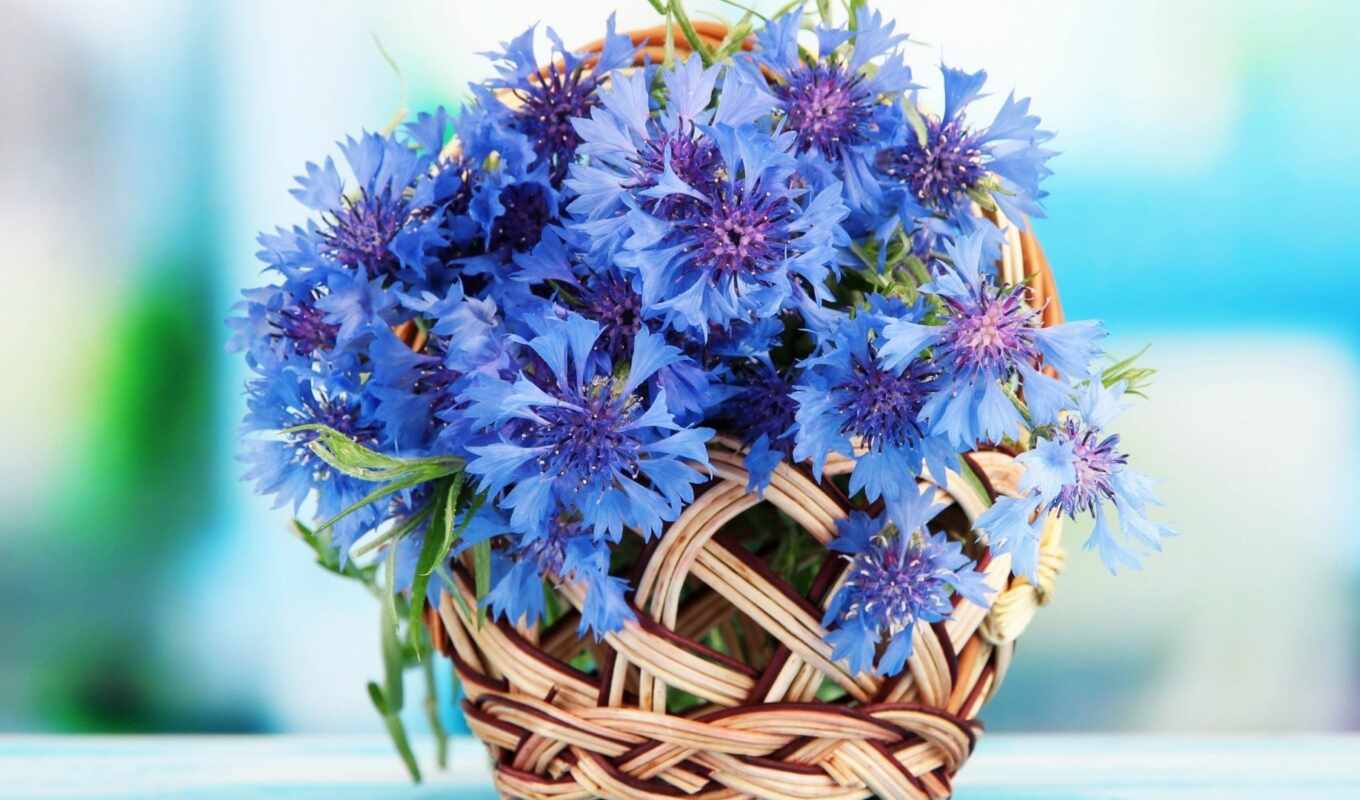 flowers, basket, bouquet, idea, you, moderation