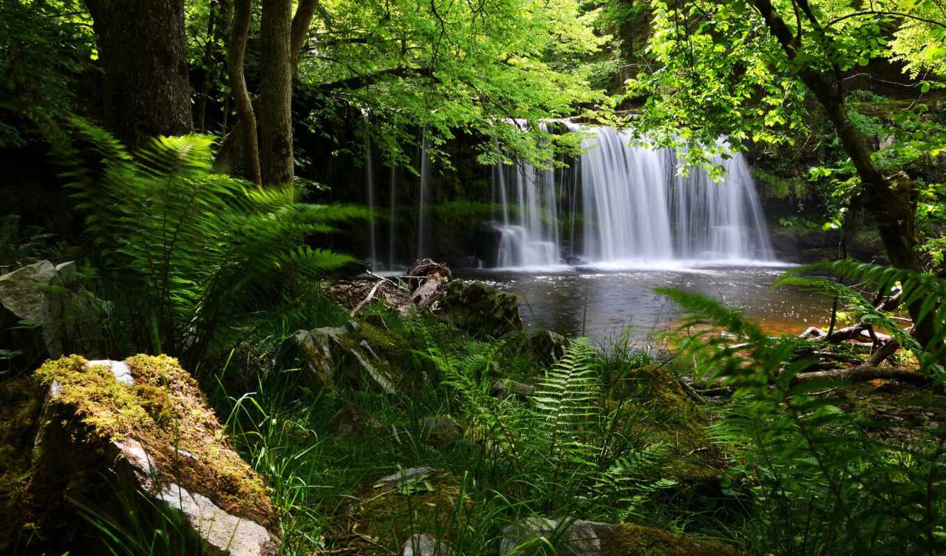 forest, England, park, waterfall, national, fern, lights, brecon, bicones