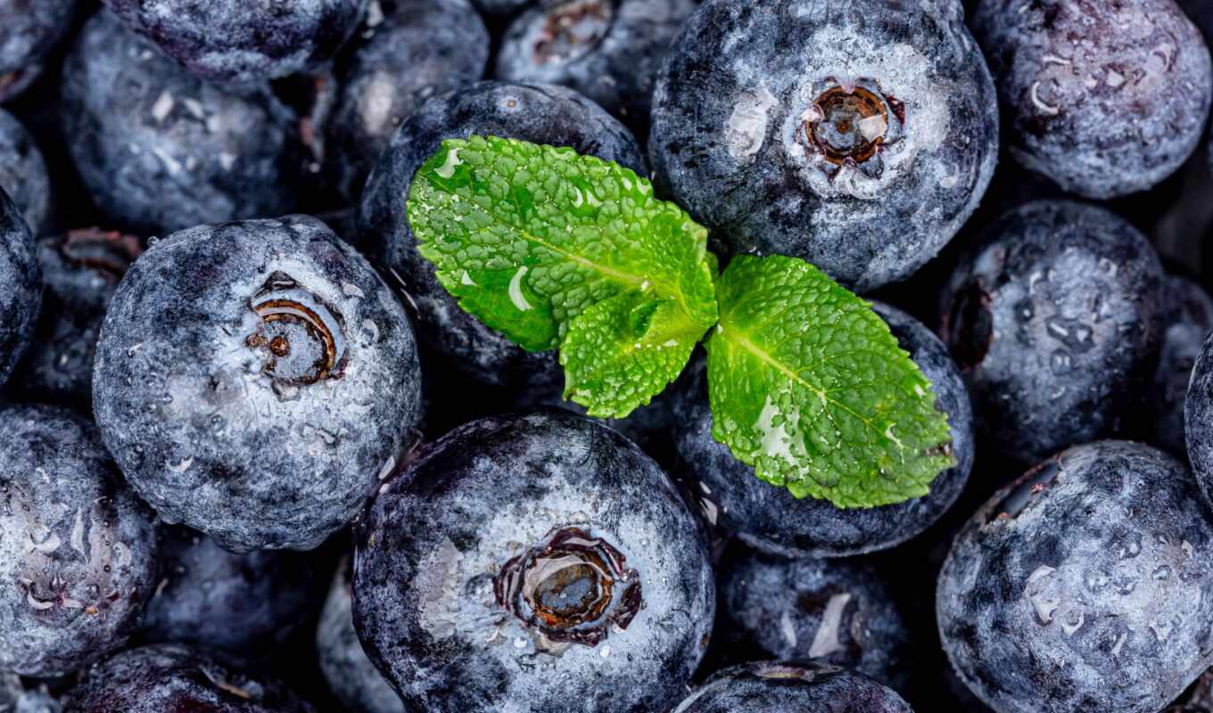 ipad, blueberries