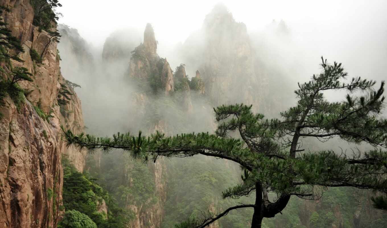 природа, гора, landscape, долина, foggy