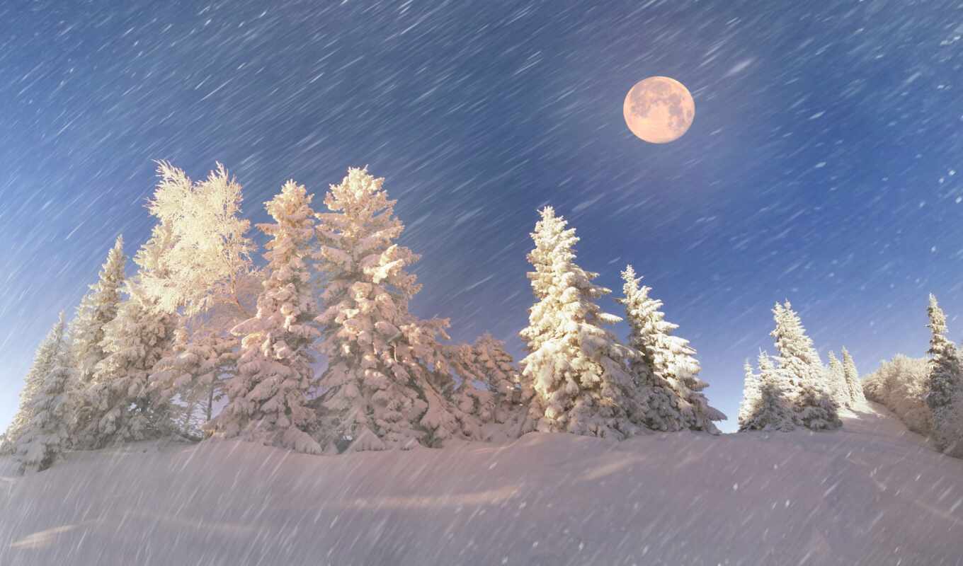 природа, дерево, луна, снег, winter, ветер, снежинка