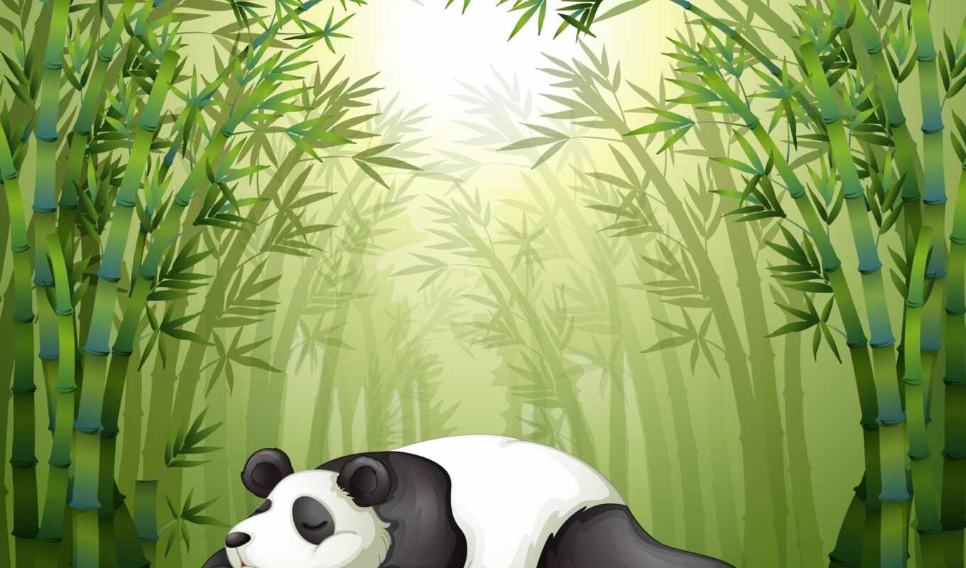 вектор, панда, бамбук, cartoon, fore