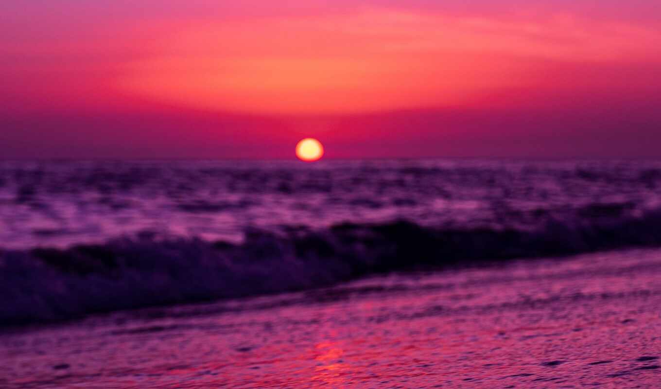 sun, purple, горизонт