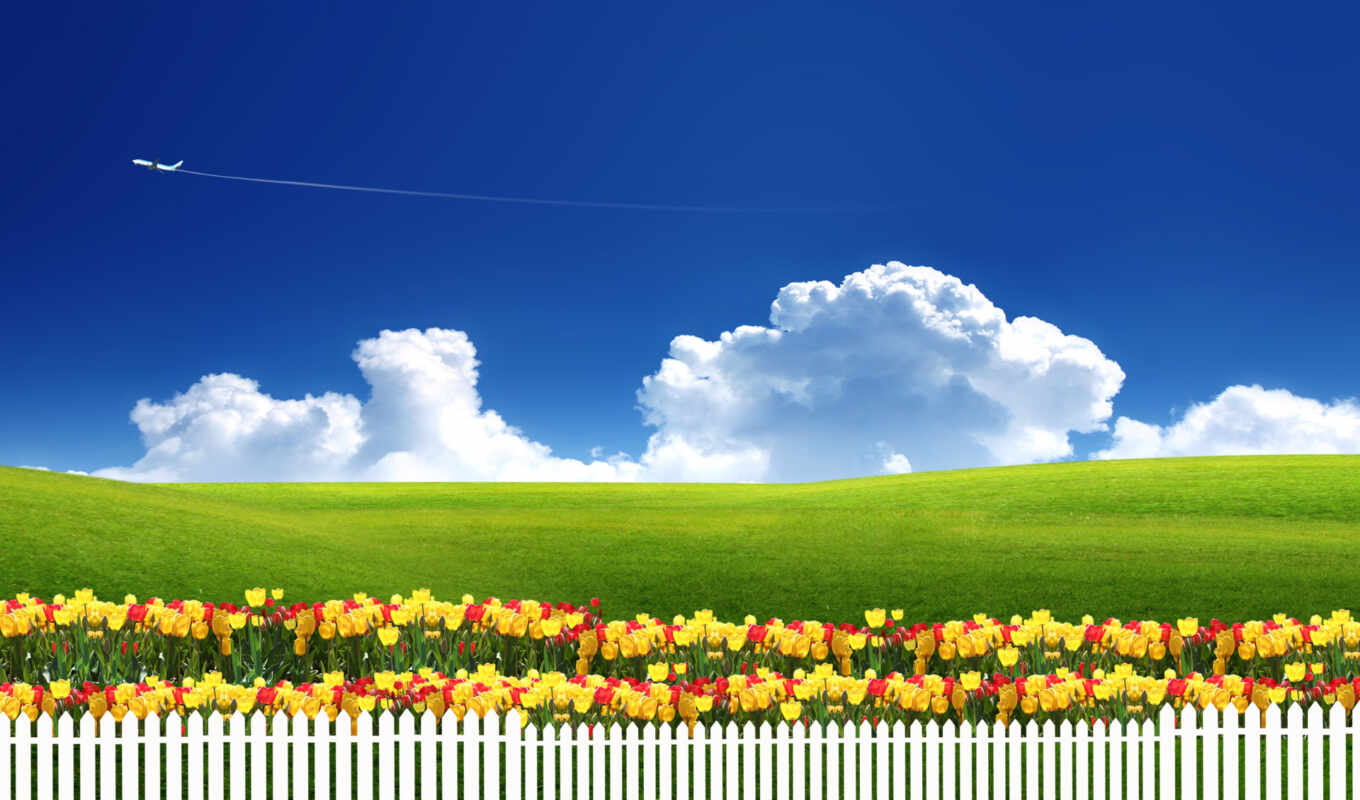 природа, небо, цветы, трава, тюльпаны, забор, луг