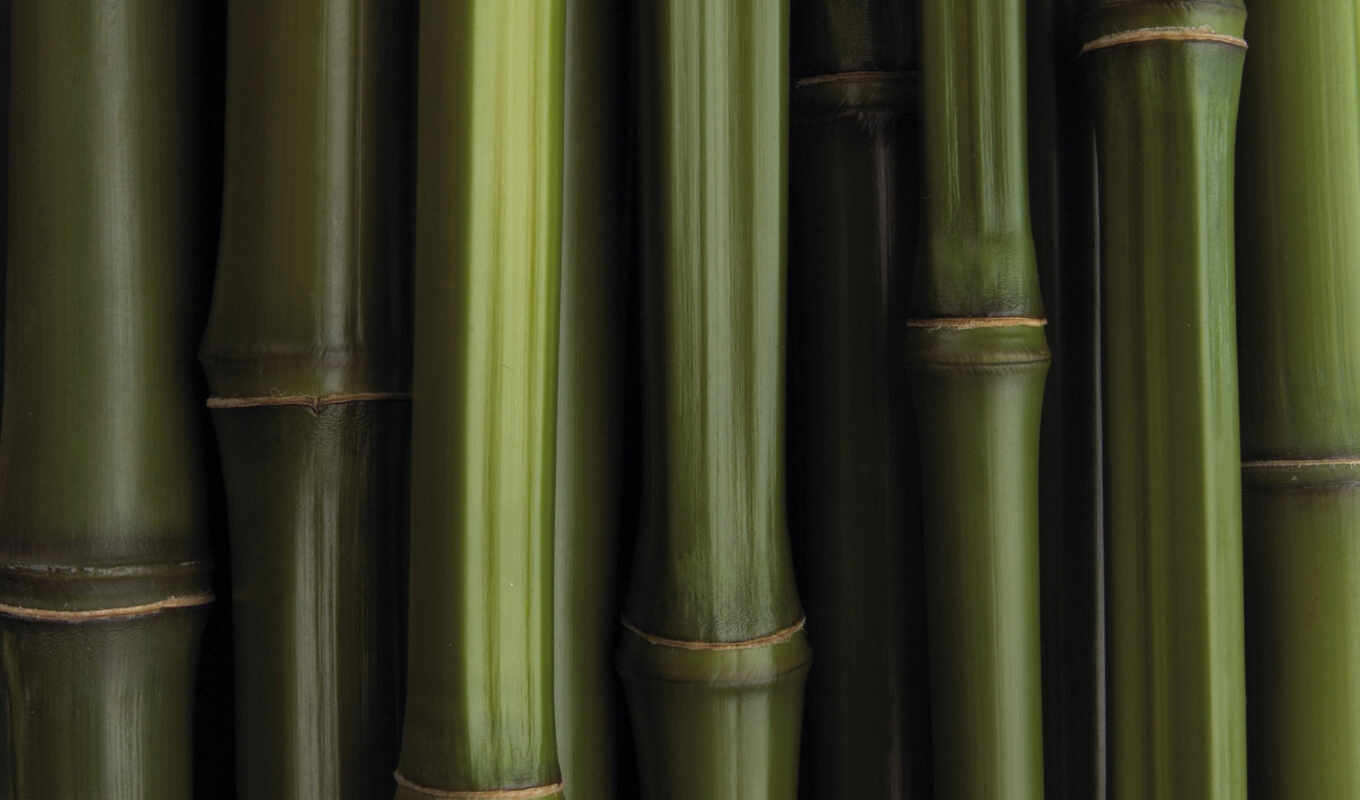 texture, textures, bamboo, seamless