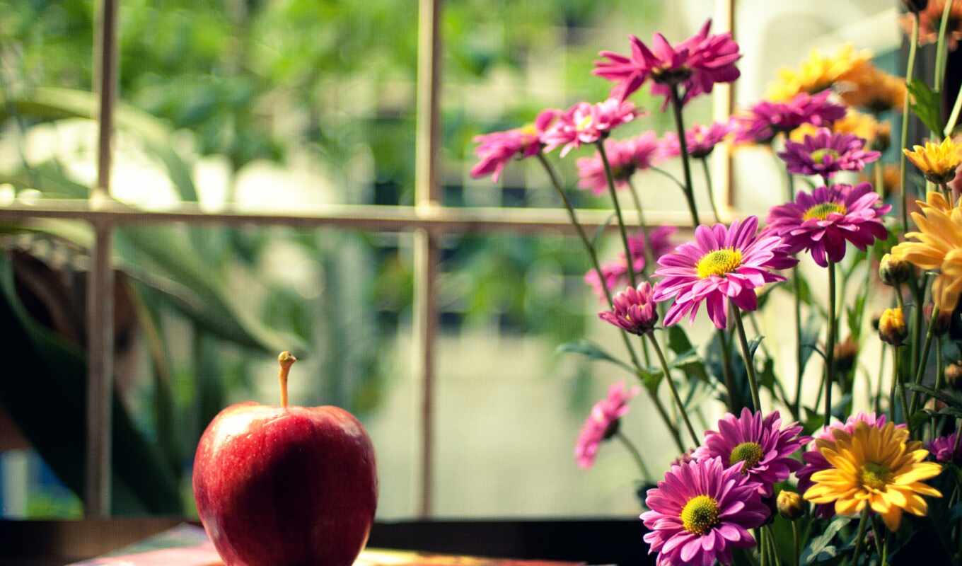 flowers, apple, free, show, heart, pink, title, beautiful, sticker, flower, kartinika