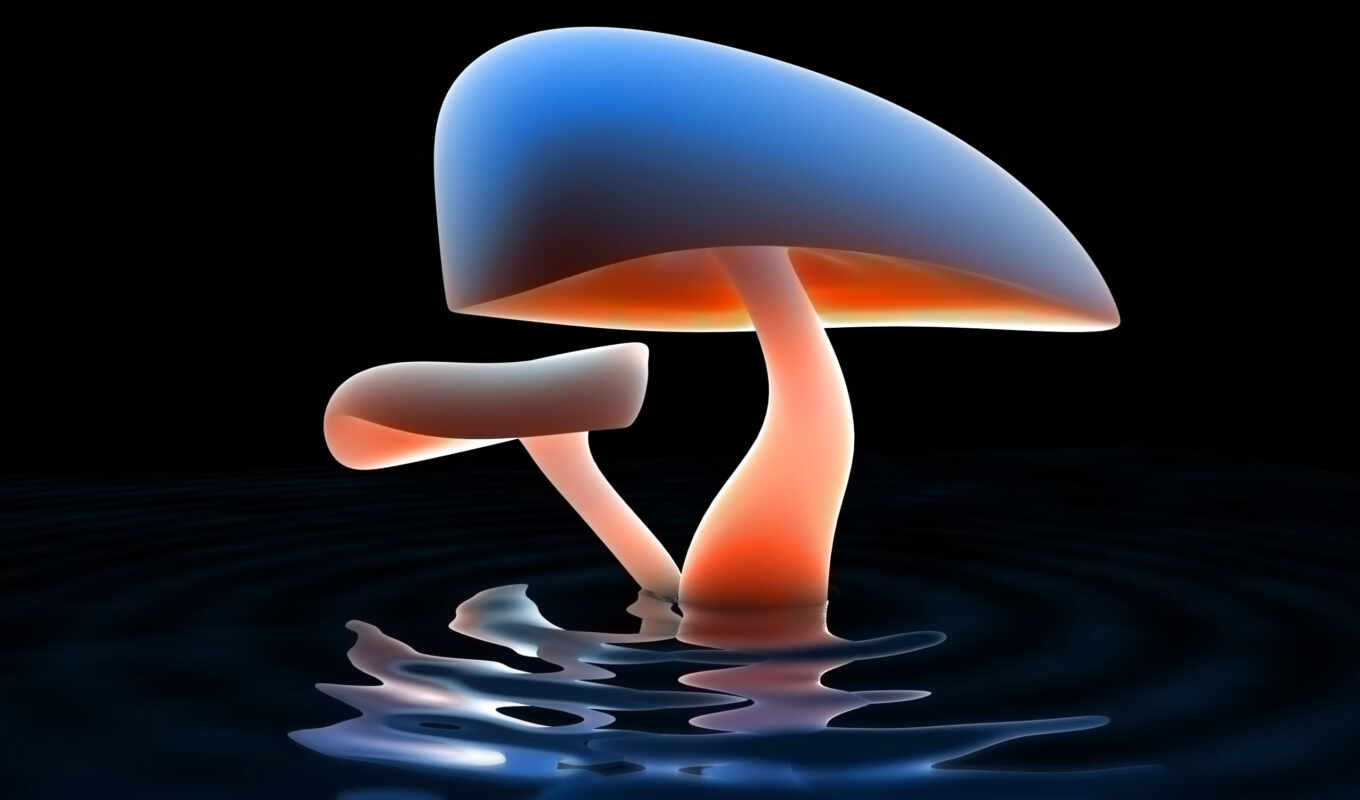 светящиеся, грибы