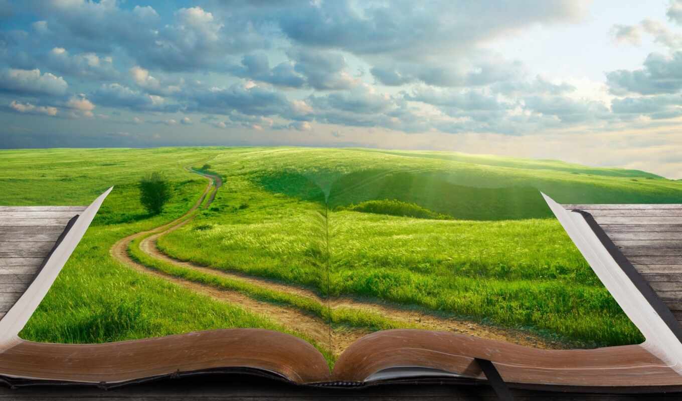 book, tree, grass, road, landscape, world, books, books, bookmark, which, changed