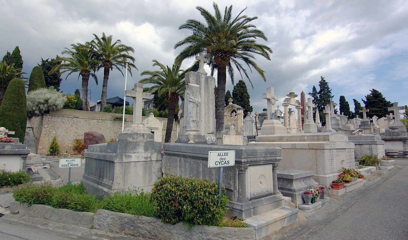 grand, cannes, price, cemetery, and, cannes, cimeti-re, zhasyi