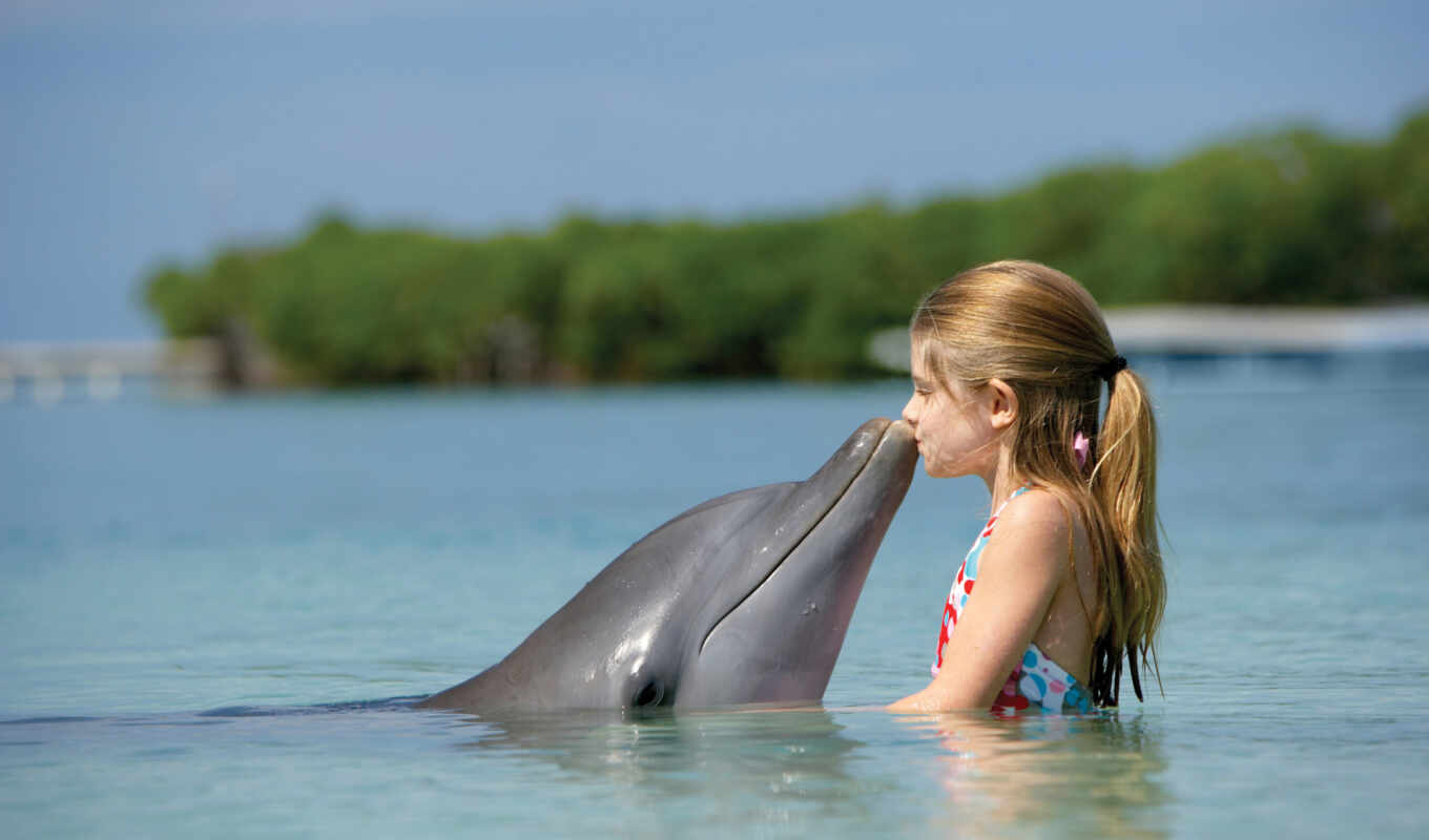 girl, sea, dolphin, children, kid