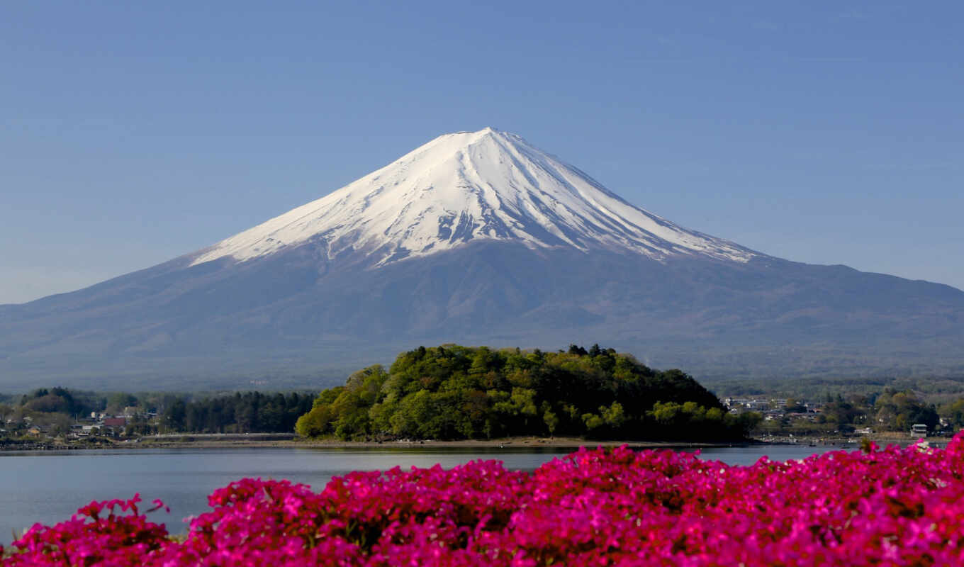 flowers, snow, mountain, japanese, peak, volcano, fujima