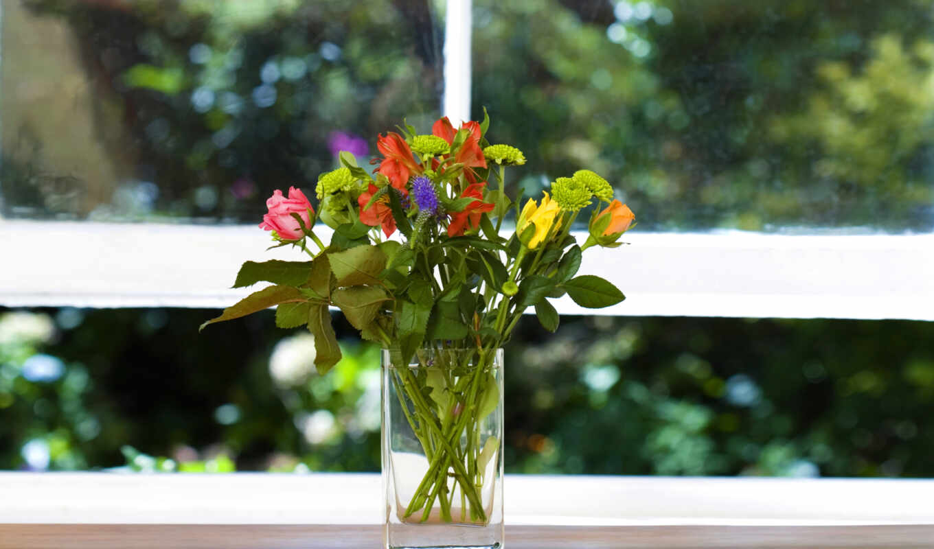 цветы, взгляд, окно, зелёный, ваза, подоконник
