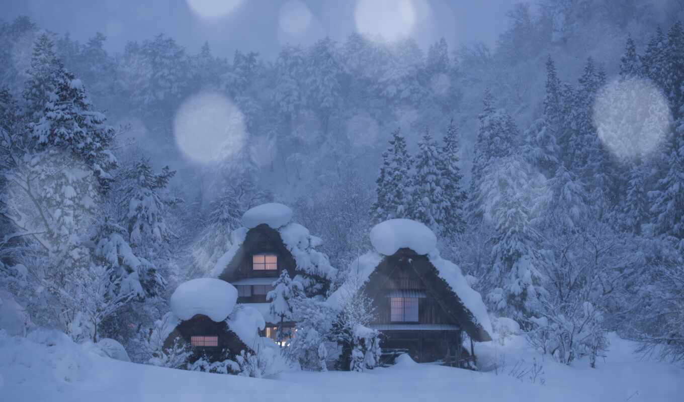 new, снег, winter, назад, shirokoformatnyi