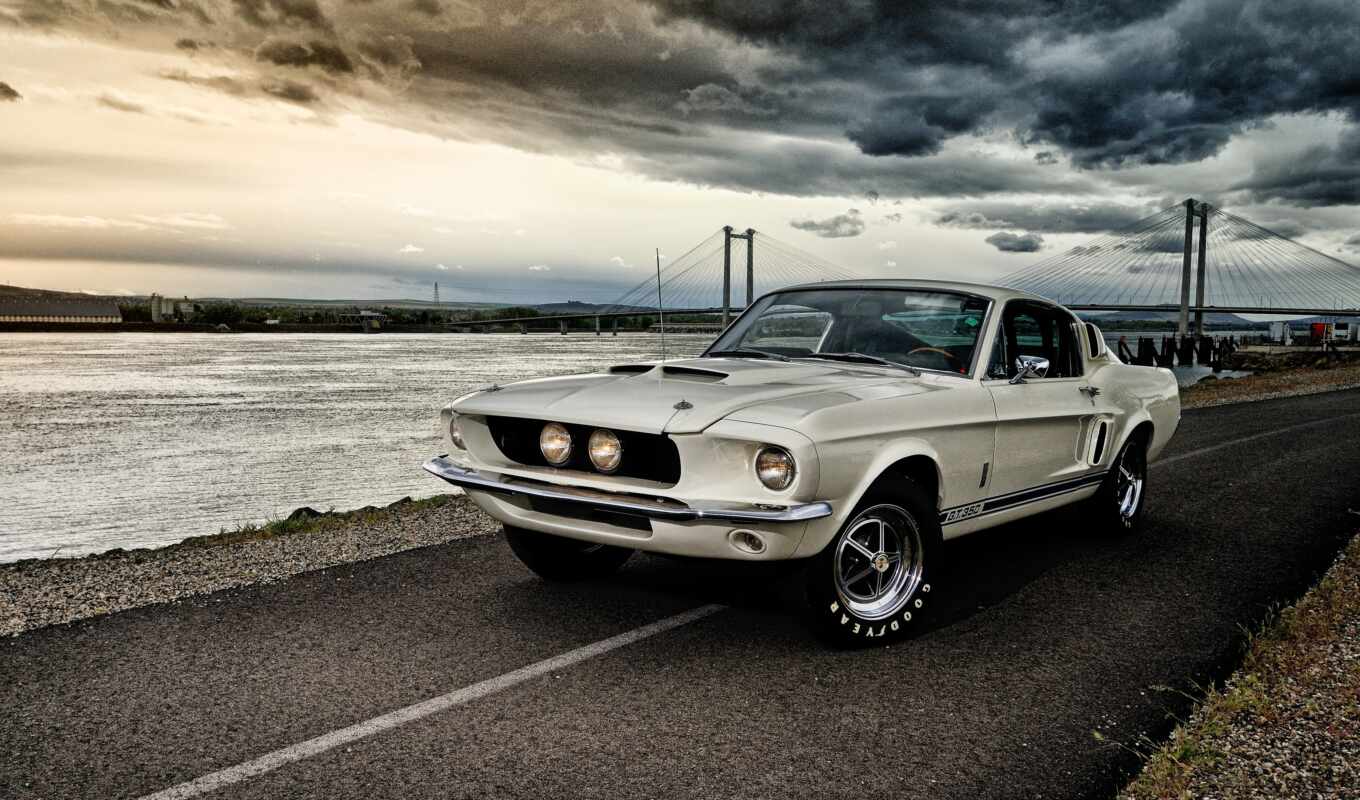 mustang