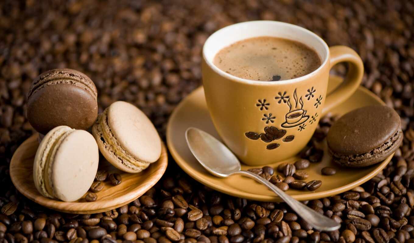 coffee, cup, блюдце, spoon, ,cookie, зерна, зернах,  