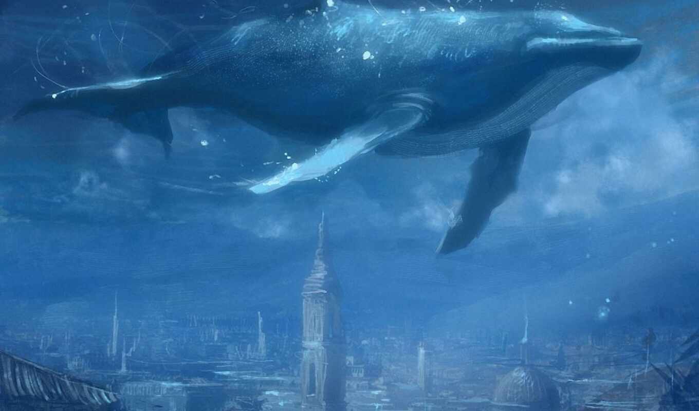 blue, кит