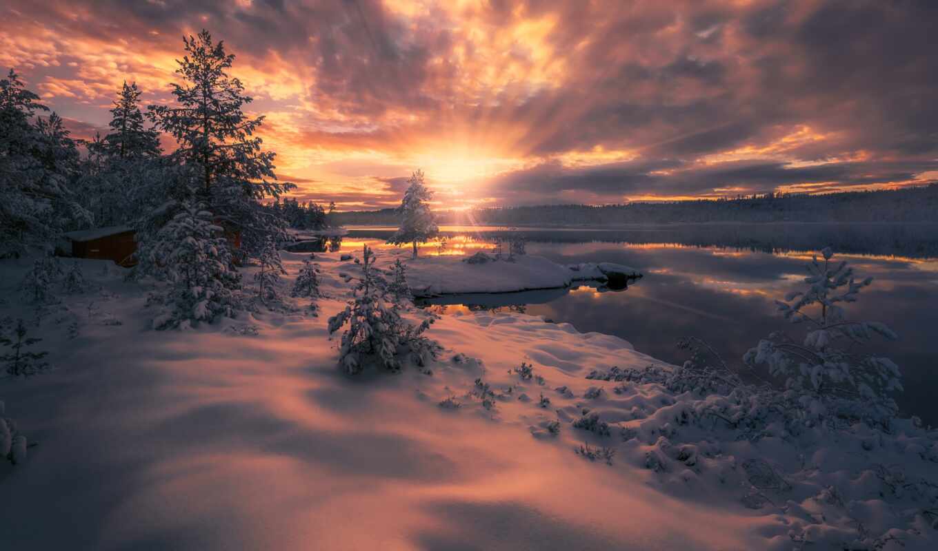 nature, sunset, snow, forest, mountain, landscape, ukraine, fog, app, reverso
