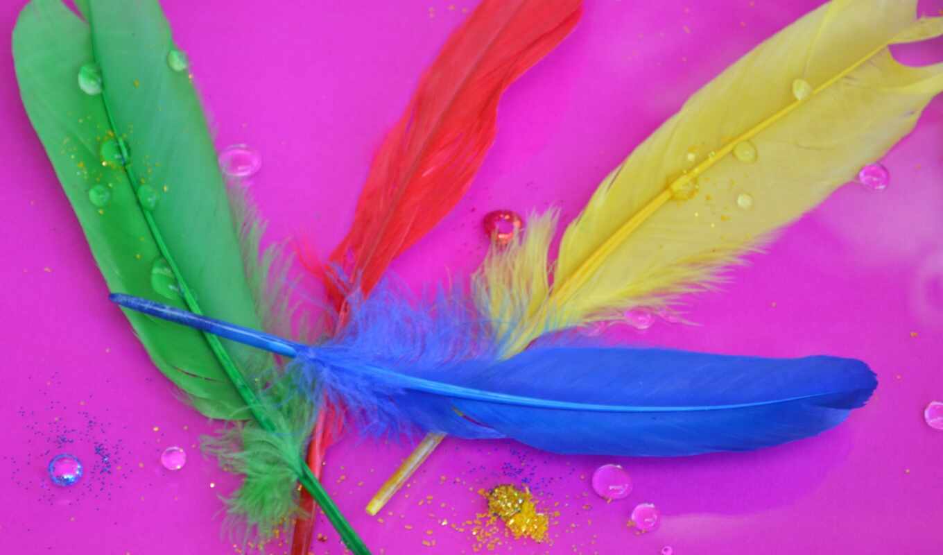 multicolored, Feathers: colorful