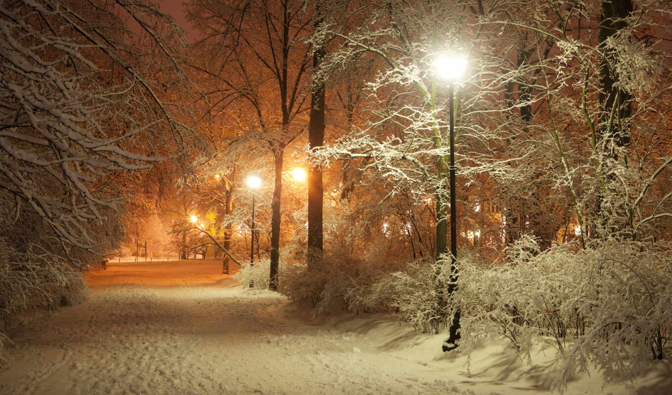 winter, вечер, красивый, park