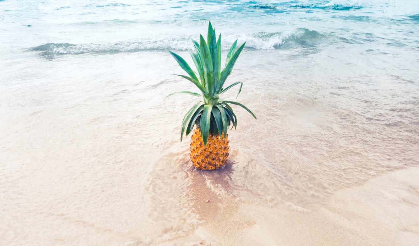 color, inspiration, idea, pineapple