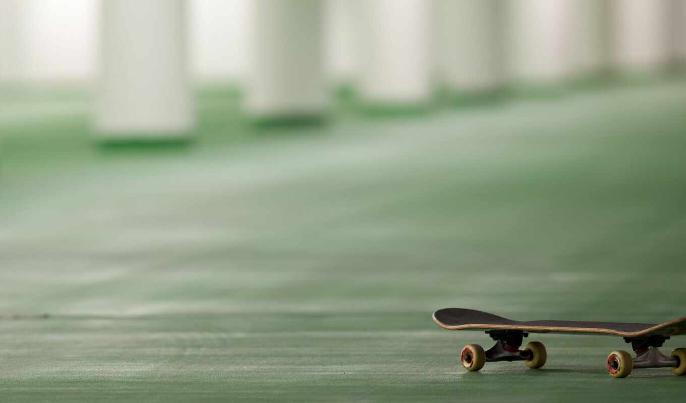 skateboard, kartinkin