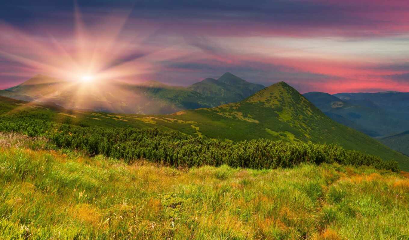 nature, picture, sun, grass, sunset, field, photos, trees, cvety, backgrounds, mountains
