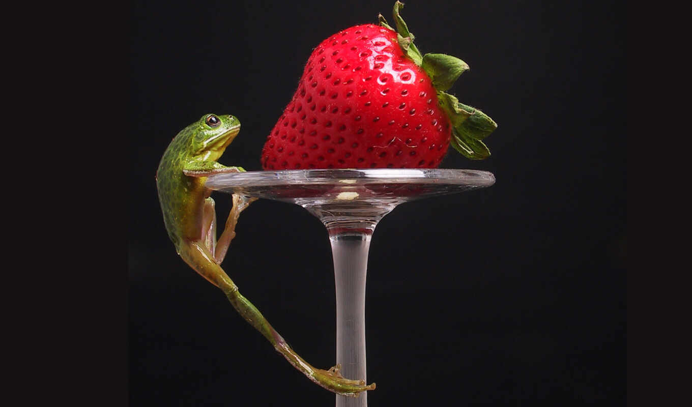 more, abstraction, girls, heart, strawberry, frogs
