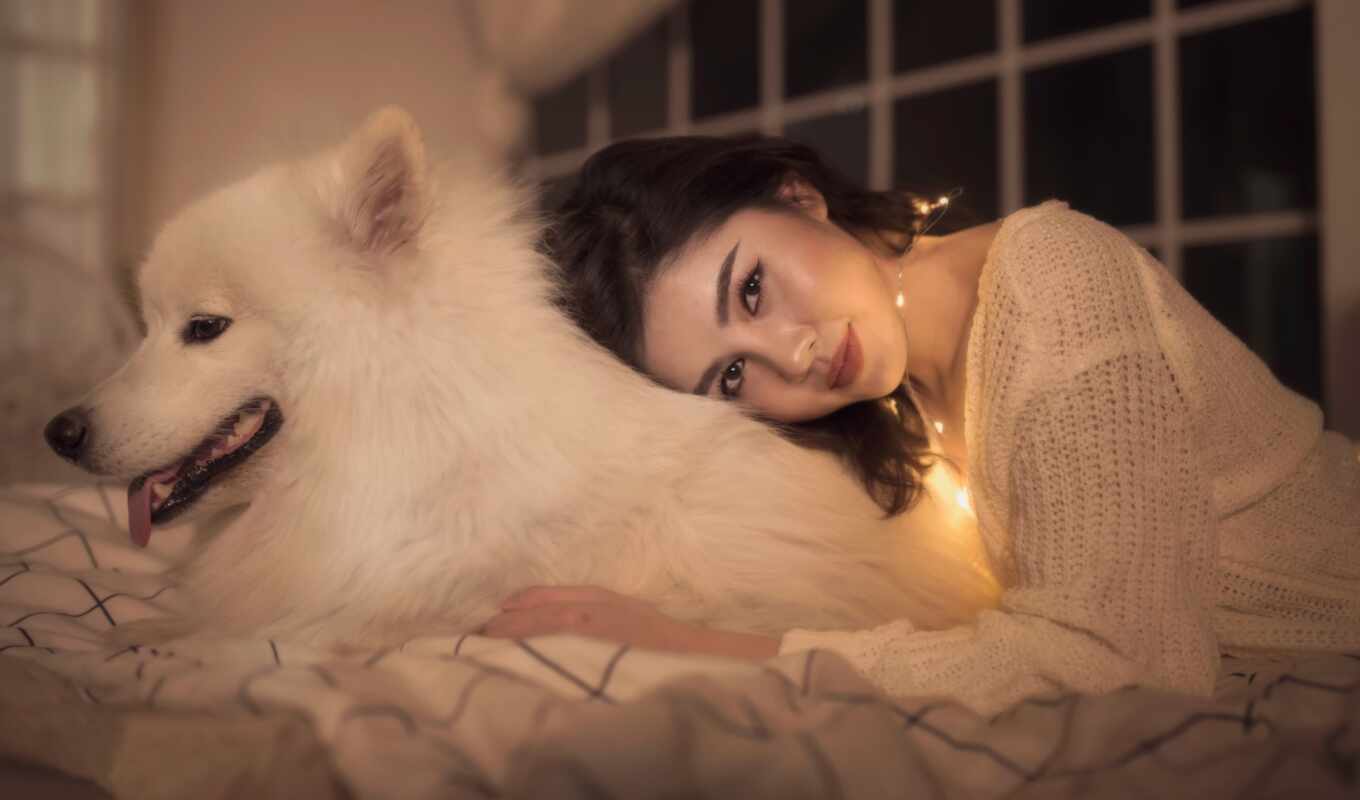 girl, max, smile, dog, friend, pro, samoyed