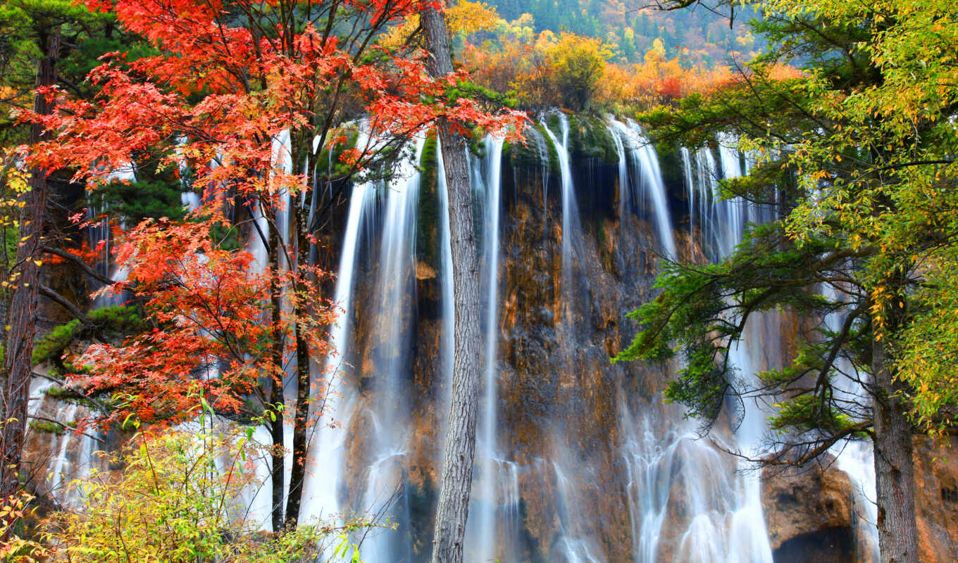 buy, decorate, forest, autumn, waterfall, waterfalls, autumn, order, waterfalls, crying, photo wallpapers