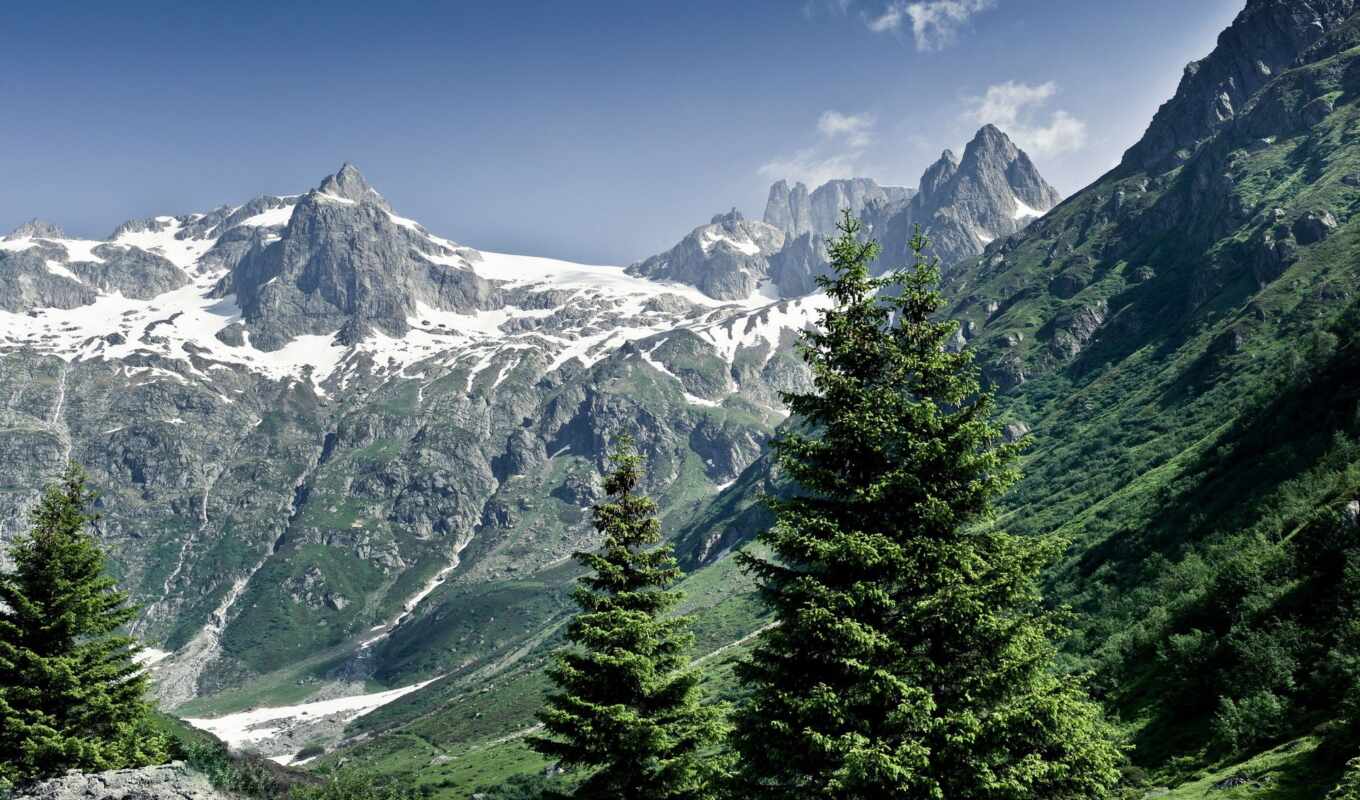 nature, summer, high, swiss, trees, the alps, snow, mountains
