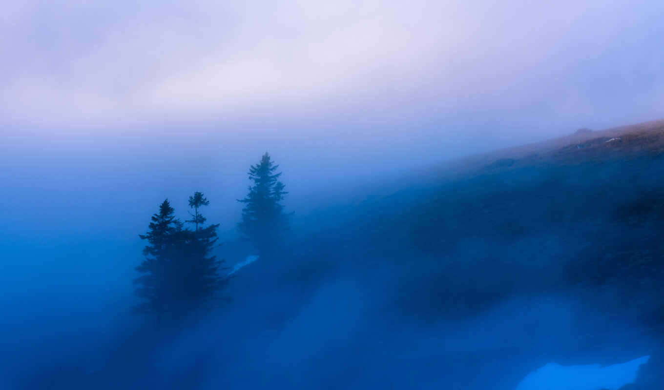небо, дерево, облако, атмосфера, утро, туман, горная станция