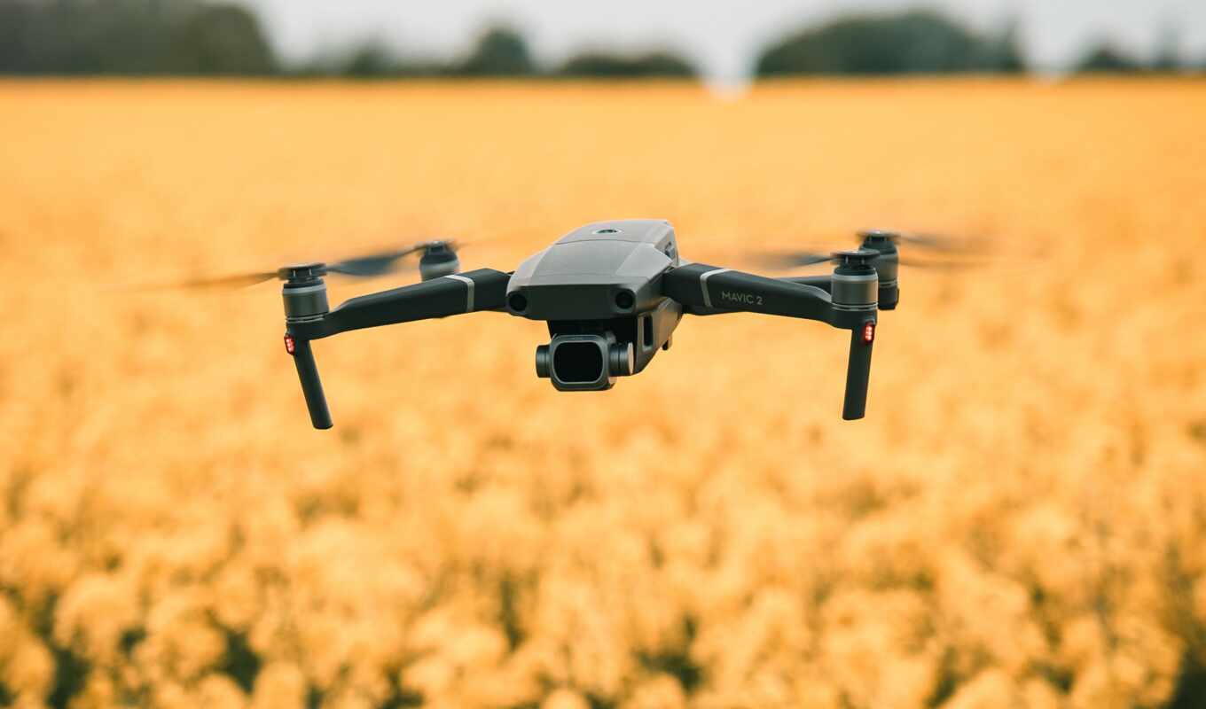 flowers, air, field, yellow, weed, pro, drone, quadrocopter, mavic, mantle