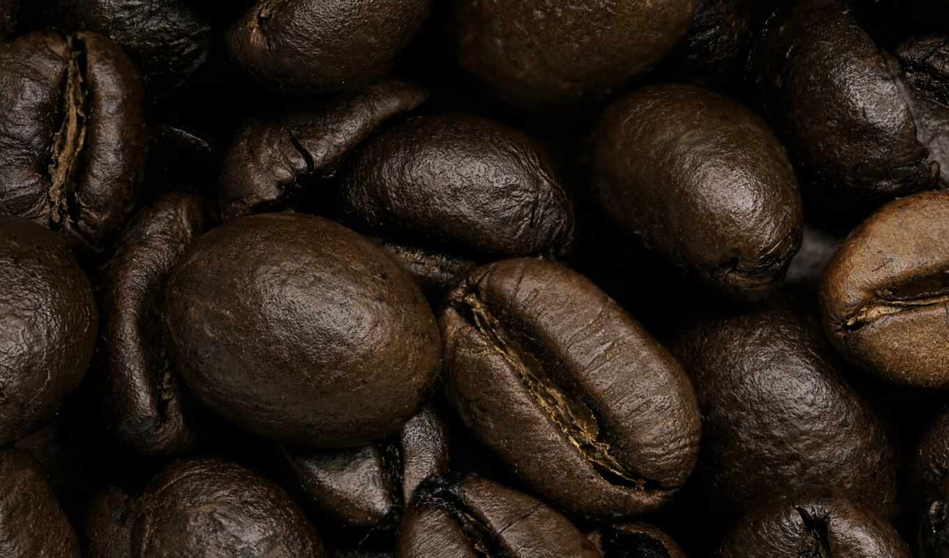 coffee, большой, plan, seed