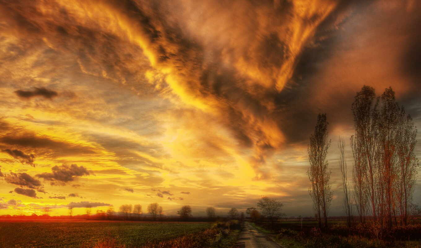 sky, sunset, farm