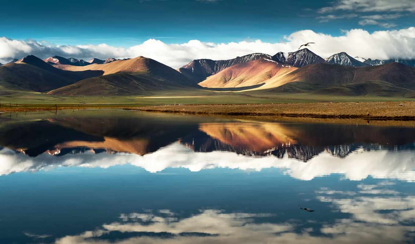 озеро, небо, широкоформатные, полет, птица, tibet, china, китаянка, oblaka, горы