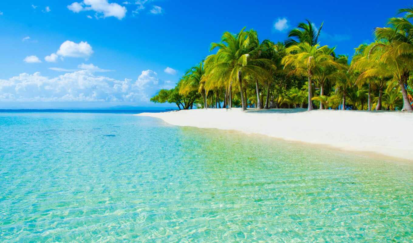 water, пляж, caribbean, море, photos, остров, ocean, trees, tropical, пляж