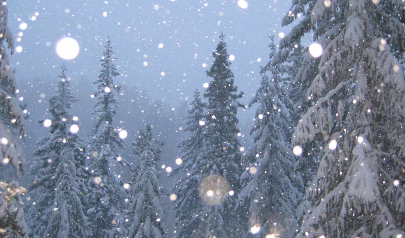 природа, дерево, снег, winter, палуба, sign