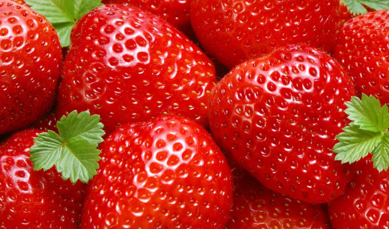 taste, they, dutch, garden, one, strawberry, variety, berry, popular, differ, ostaryi