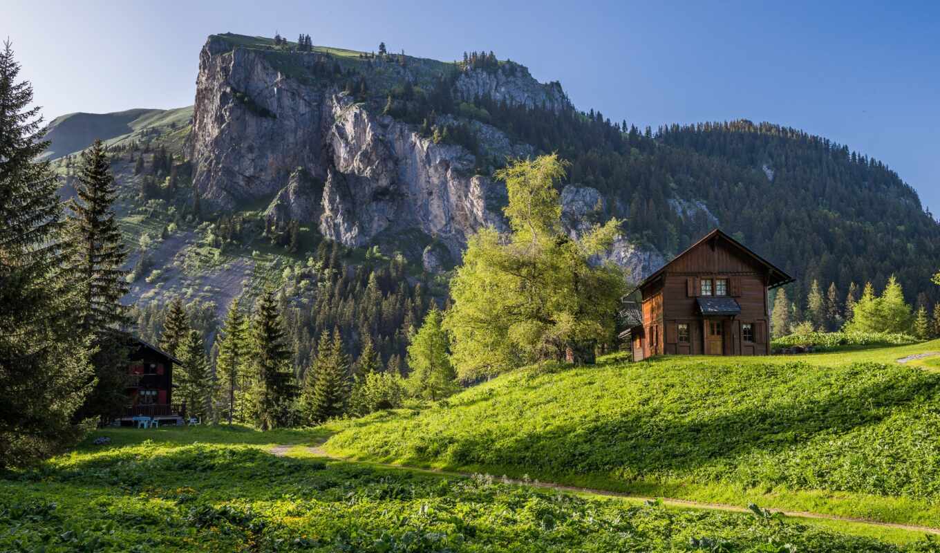 house, tree, grass, mountain, swiss, Switzerland, the alps, valya, valais