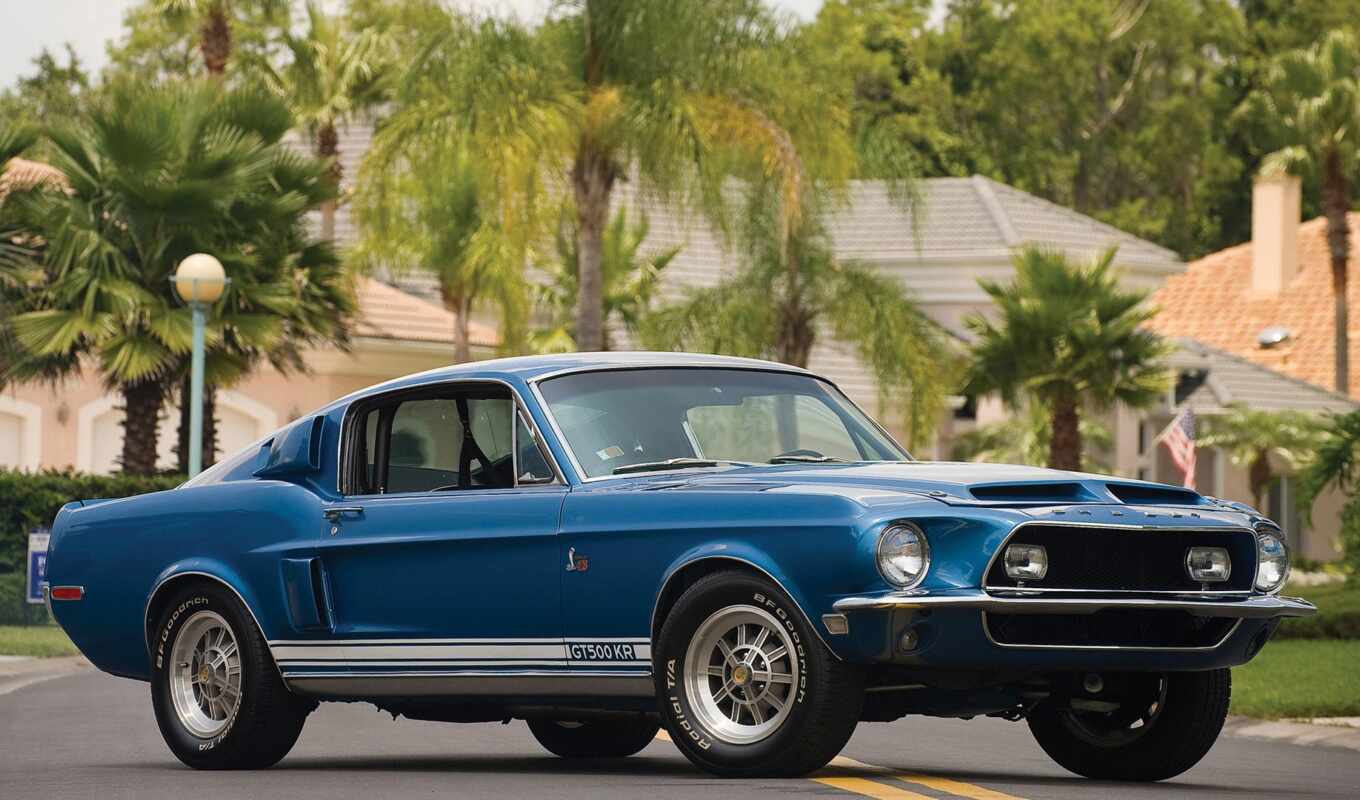 car, ford, mustang, shelby, cobra