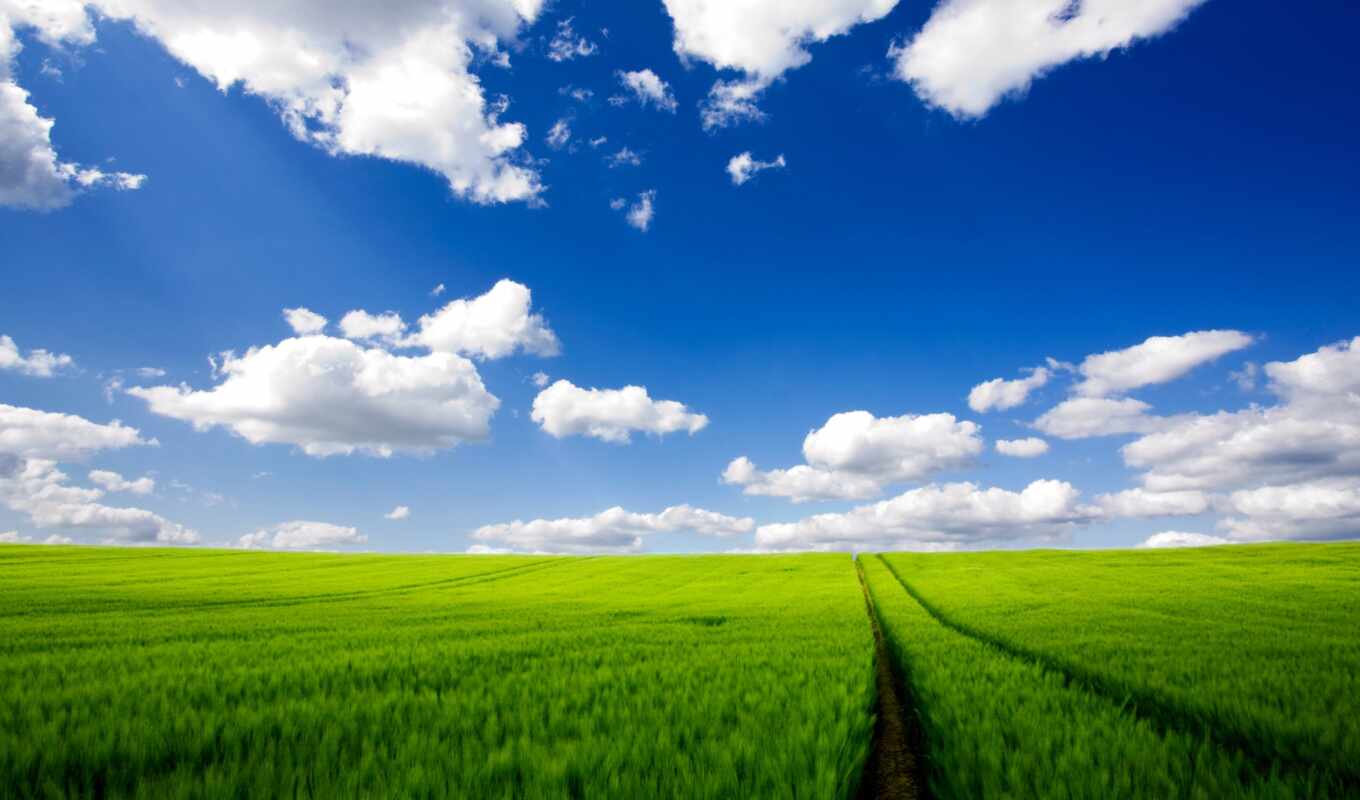 природа, небо, зелёный, трава, поле, plain, дневной, экосистема, shirokoformatnyi
