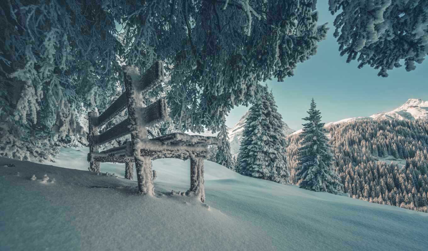дерево, снег, winter, скамейка