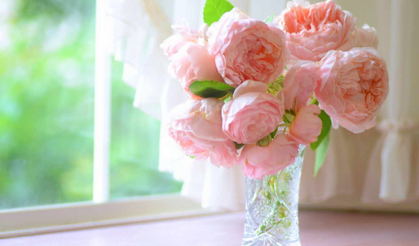 flowers, rose, world, beauty, pink, petal, vase, pions, colors