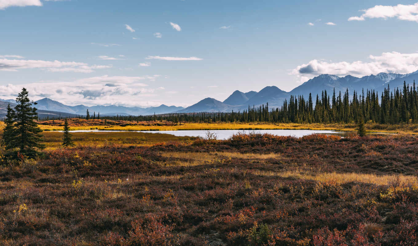природа, landscape, аляска, tundra