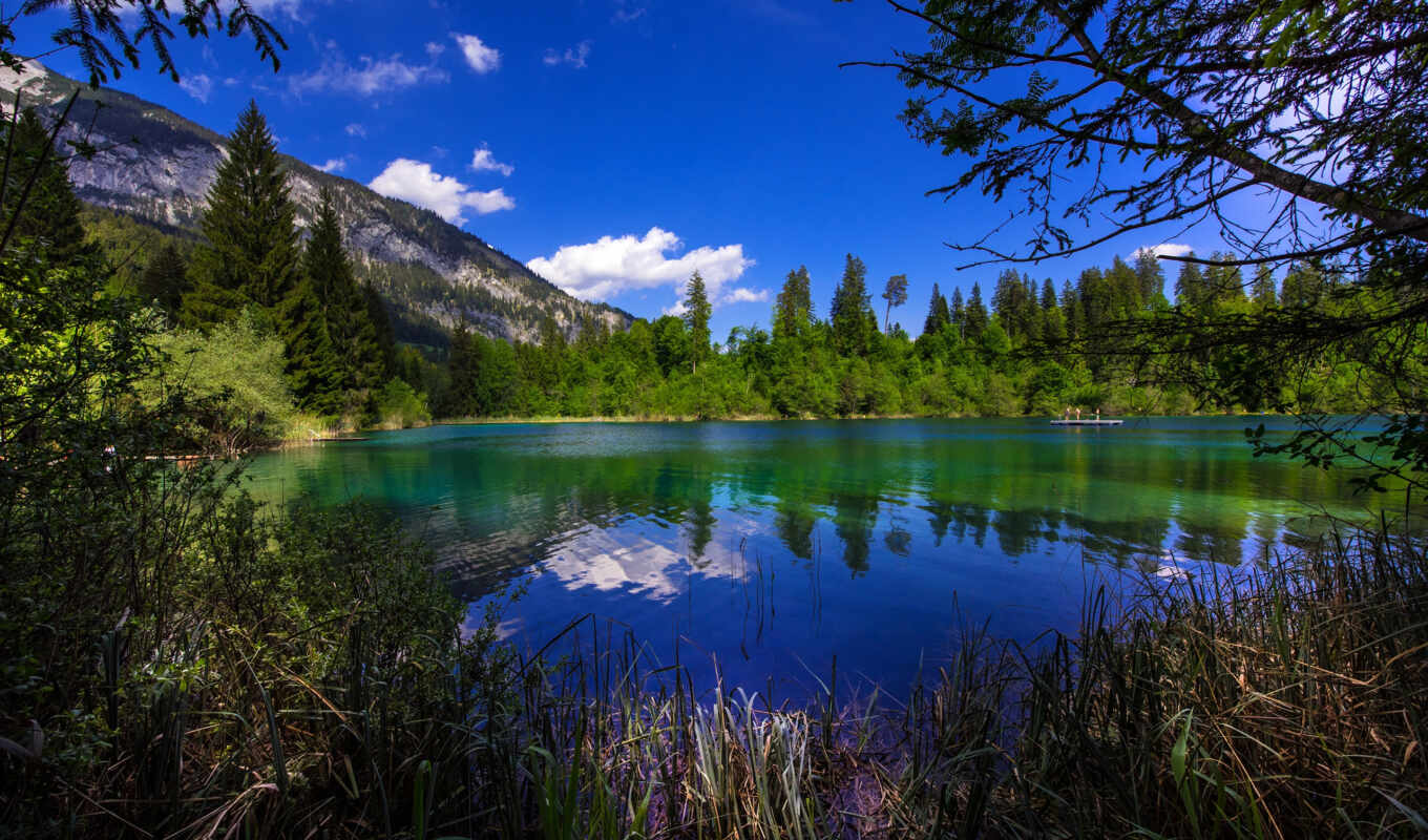 озеро, природа, небо, summer, sun, дерево, зелёный, гора, швейцария, fore, крестази