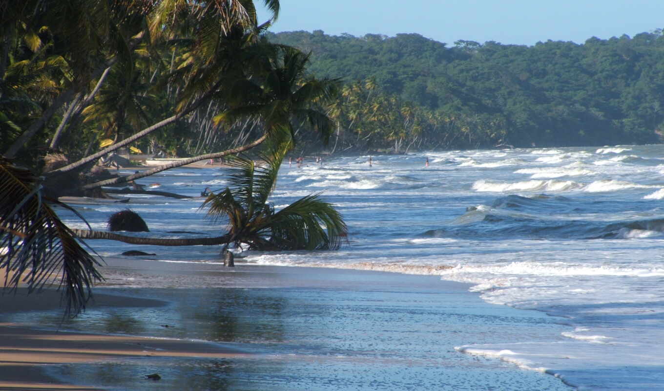 пляж, bay, пляж, tobago, trinidad, mayaro